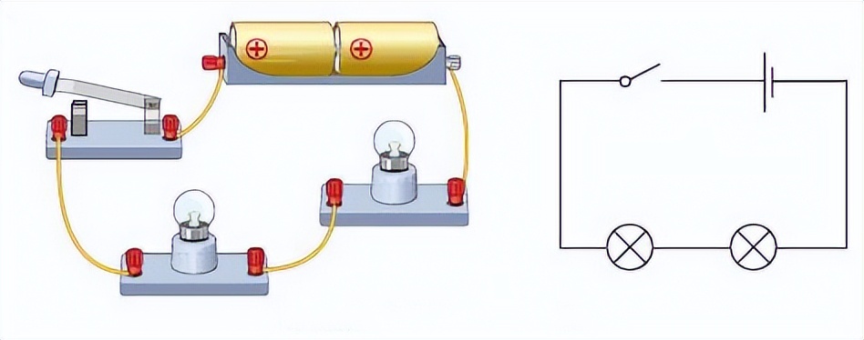 科学知识大全小学生必背,科学知识大全全集
