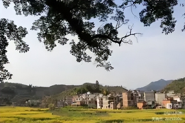 老干部对联,老干部对联大全