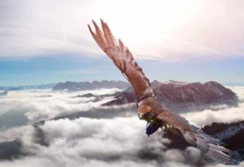 王维十首名诗鸟鸣涧,王维十首最好诗