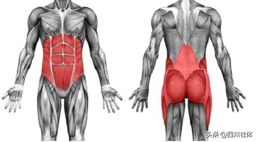 健身练腹肌和核心力量的王牌动作,核心腹肌必练经典动作