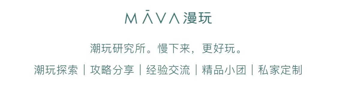 南京的法国梧桐秋天图片,南京法国梧桐秋天