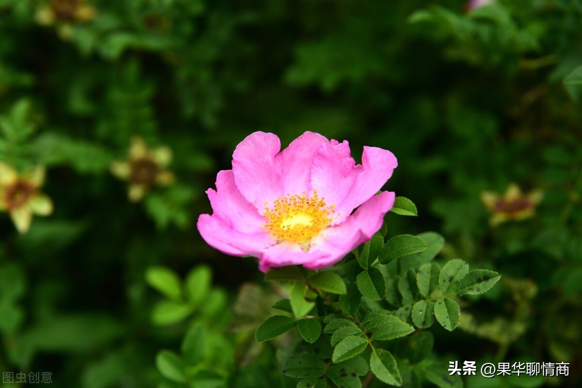 用一个心理问题判断对方爱你么,怎么从细节里看出对方是否爱你