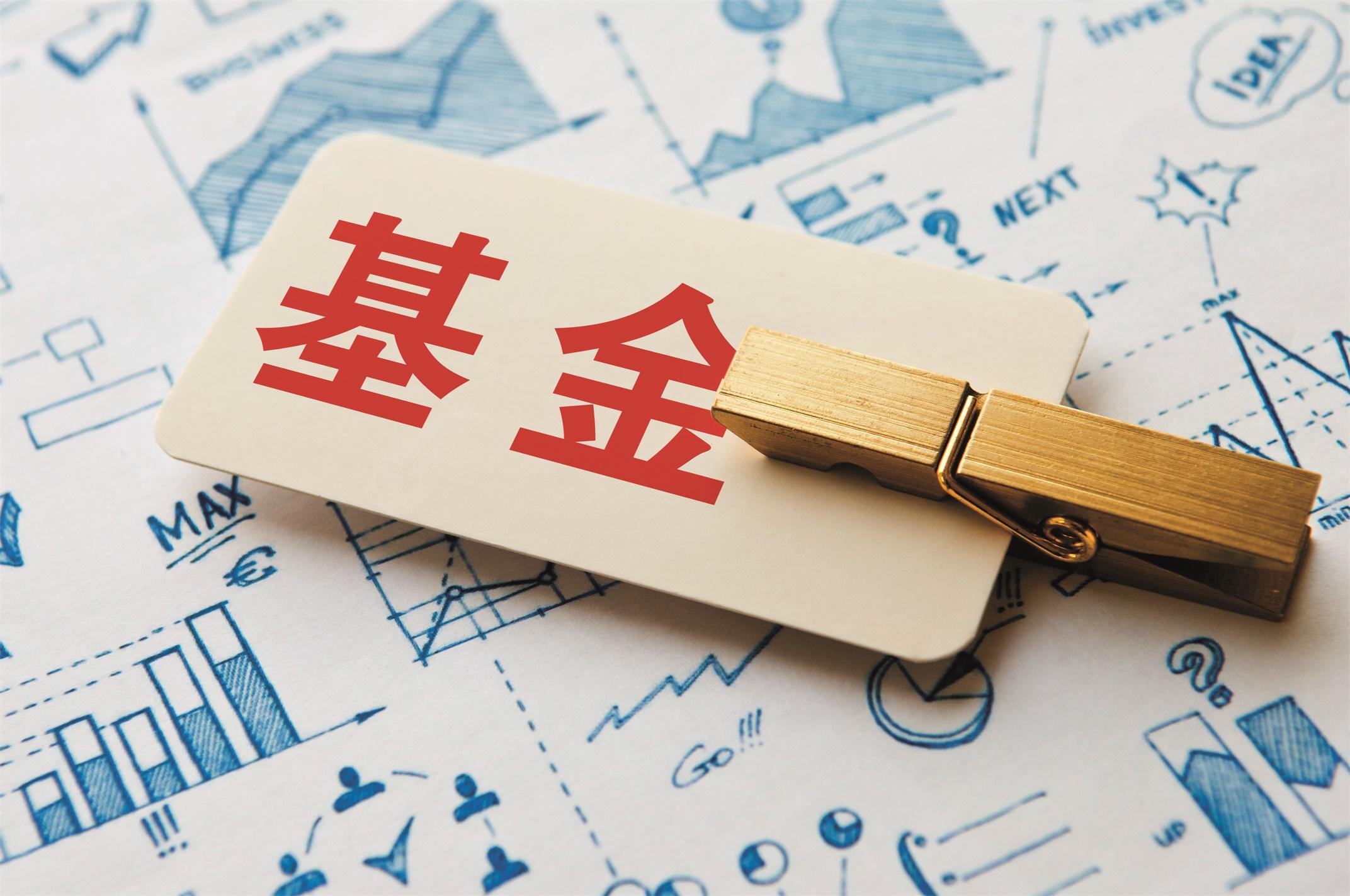 010196基金适不适合长期持有,如何选择长期收益的基金