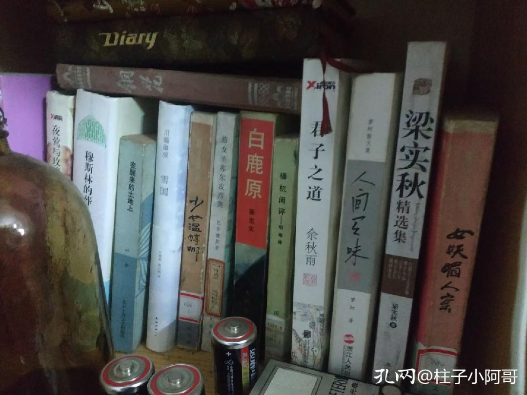 为生计奔波,为生计东奔西走