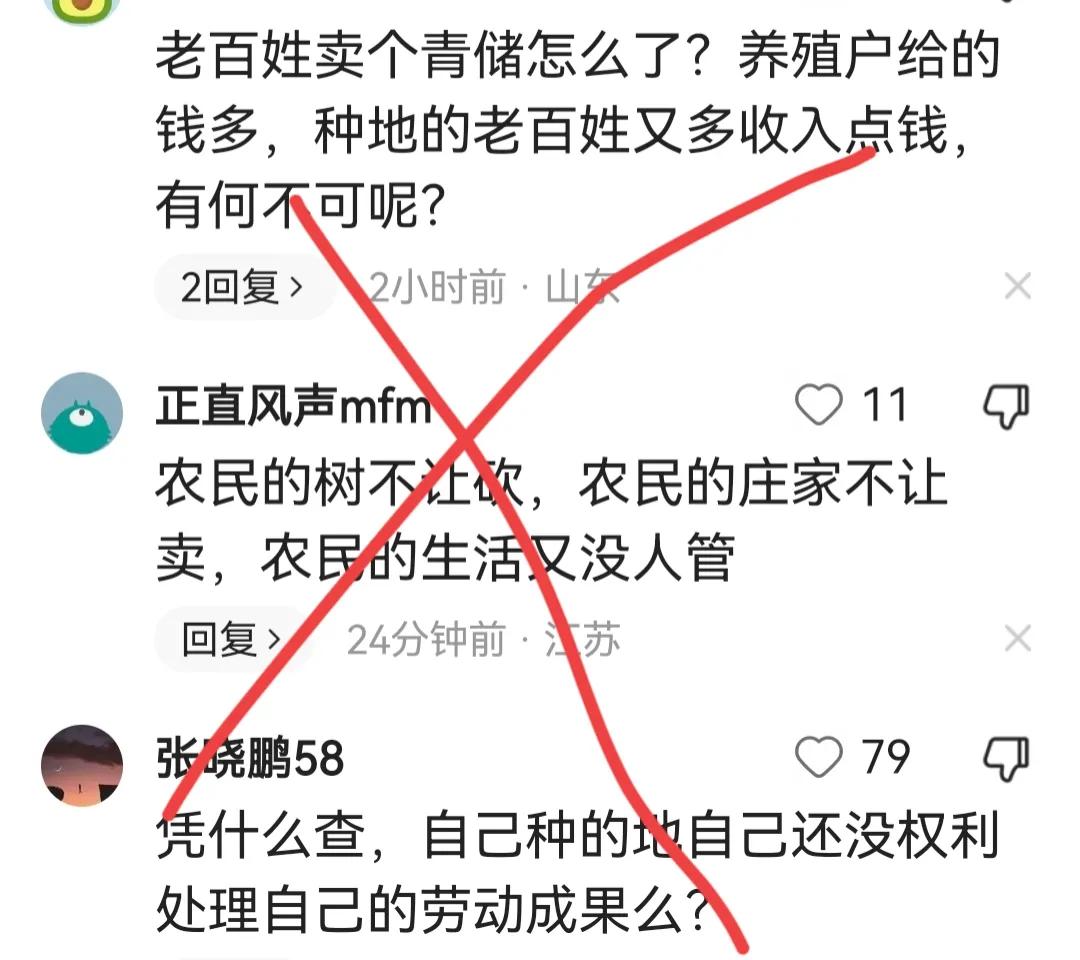 小麦种植青苗费用,农民大量卖小麦青苗