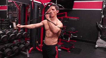 健身必备50个经典动作,锻炼全身的动作30分钟健身男士