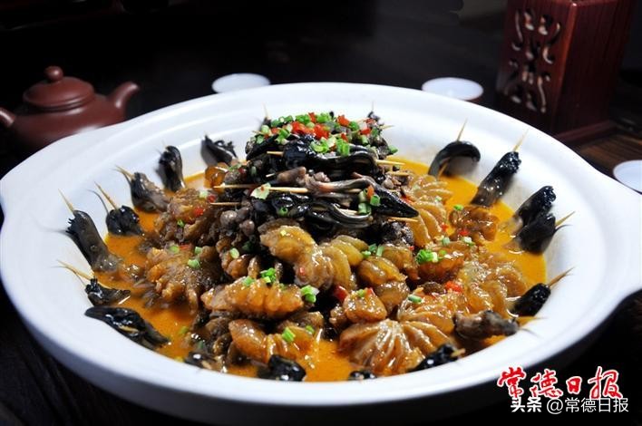 发展特色产业助力乡村振兴——写在常德甲鱼推介及招商活动举办之际