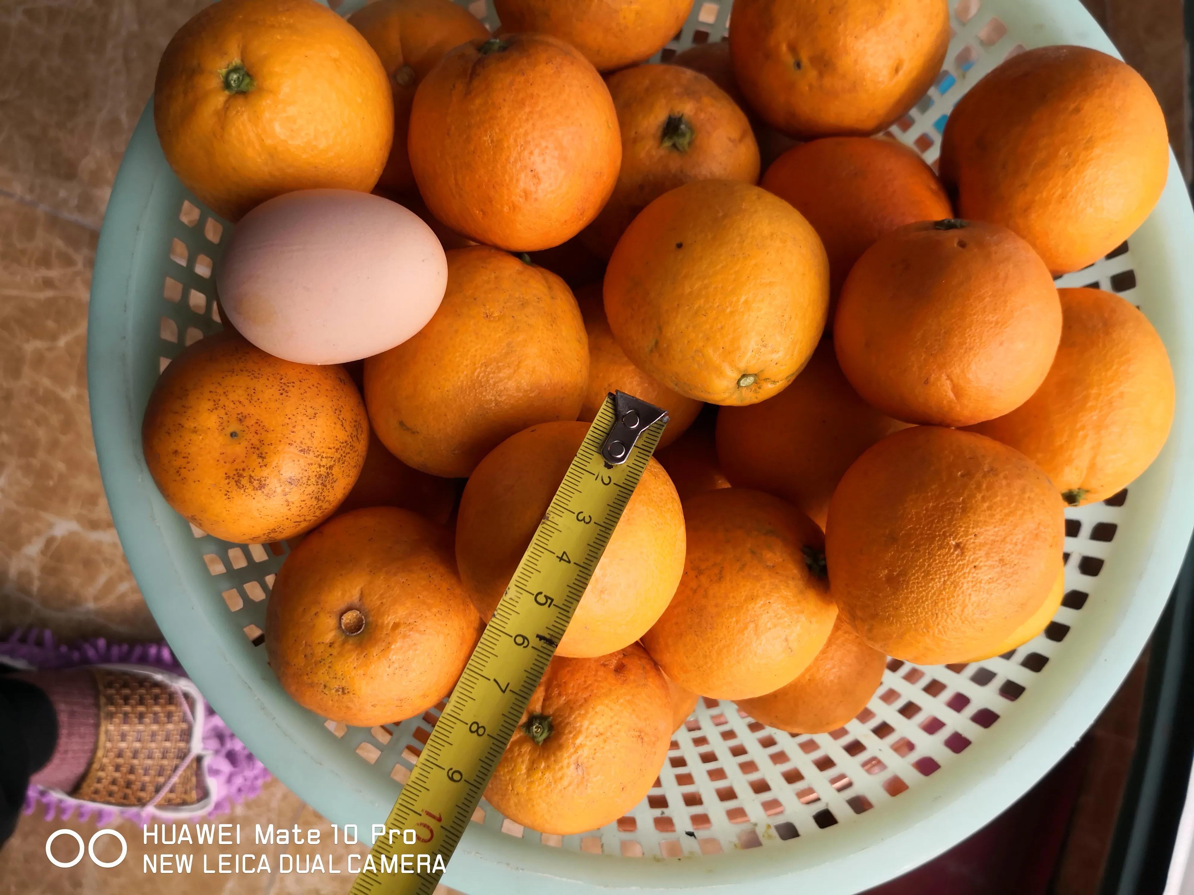 从“老王果园自销基地”网购水果感想