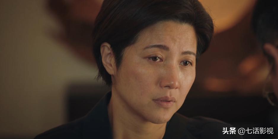 国内最新现代谍战剧《对手》,谍战剧对手角色