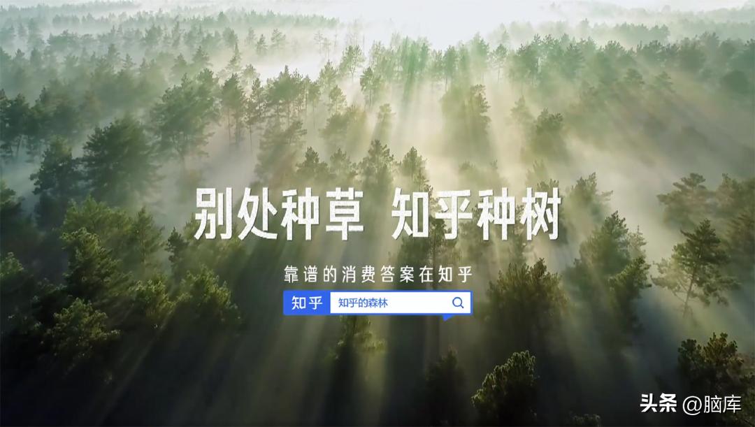 盘点2022年度36件获奖文案,都使用了这个心理效应