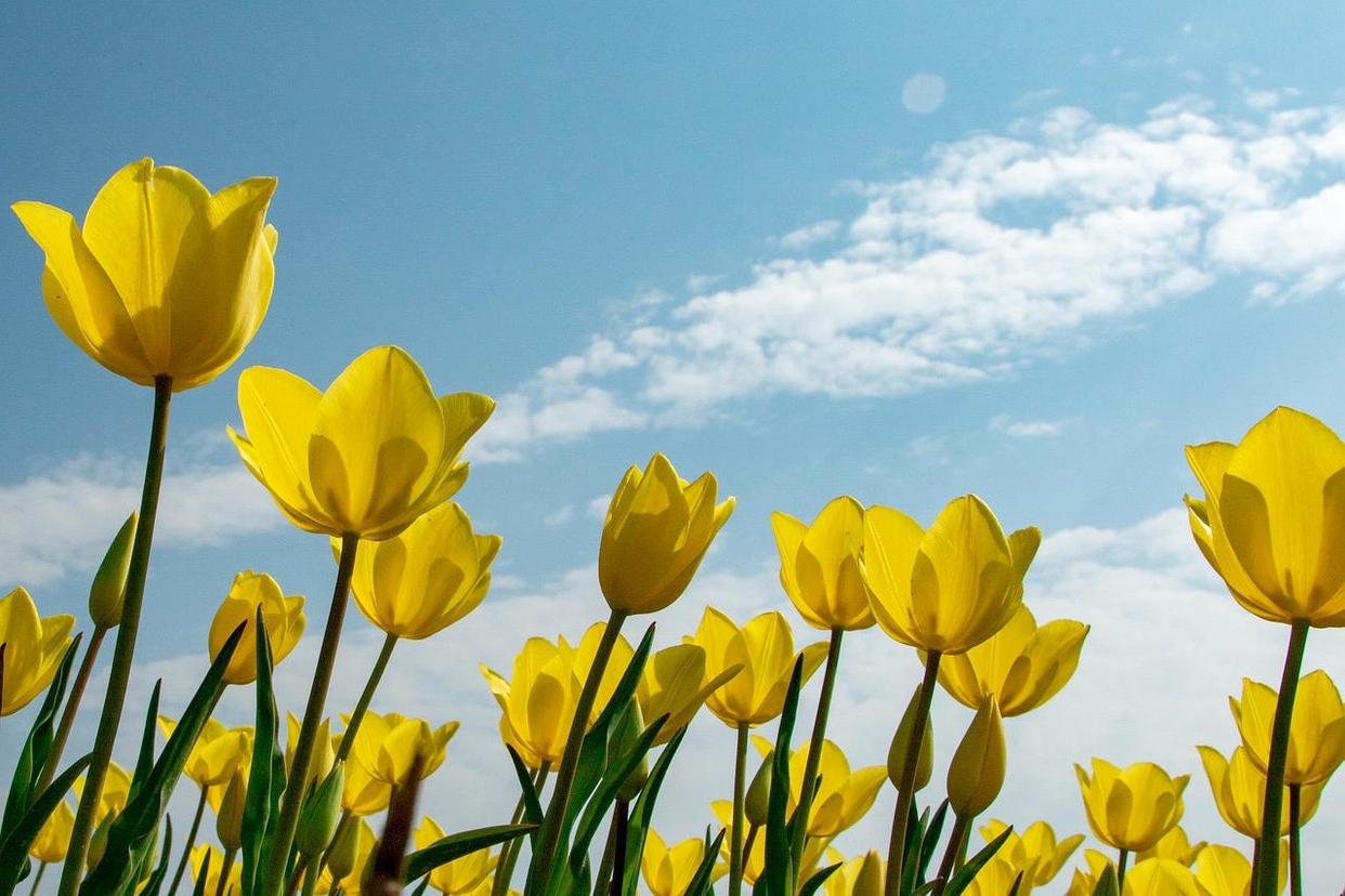 一个人对感情太认真怎么办,聪明的人对待感情越专一