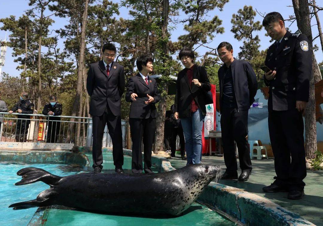 检察公益诉讼助力生态环境保护,河南省检察院公益诉讼典型案例