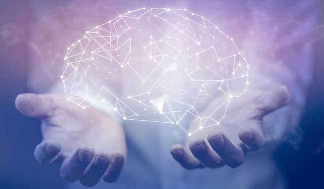 是大脑在控制我还是我在控制大脑,大脑的思维系统在哪