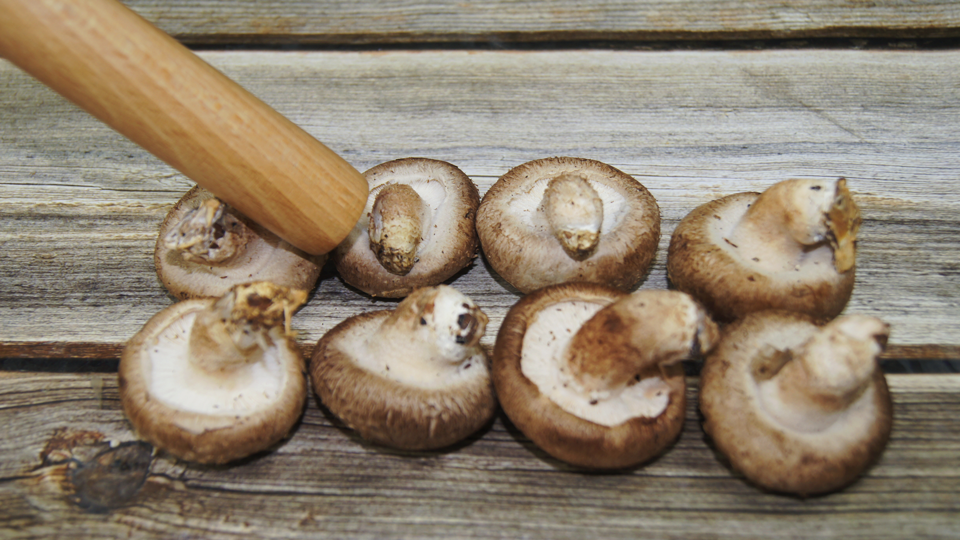 吃香菇到底要不要泡呢,吃香菇有什么讲究