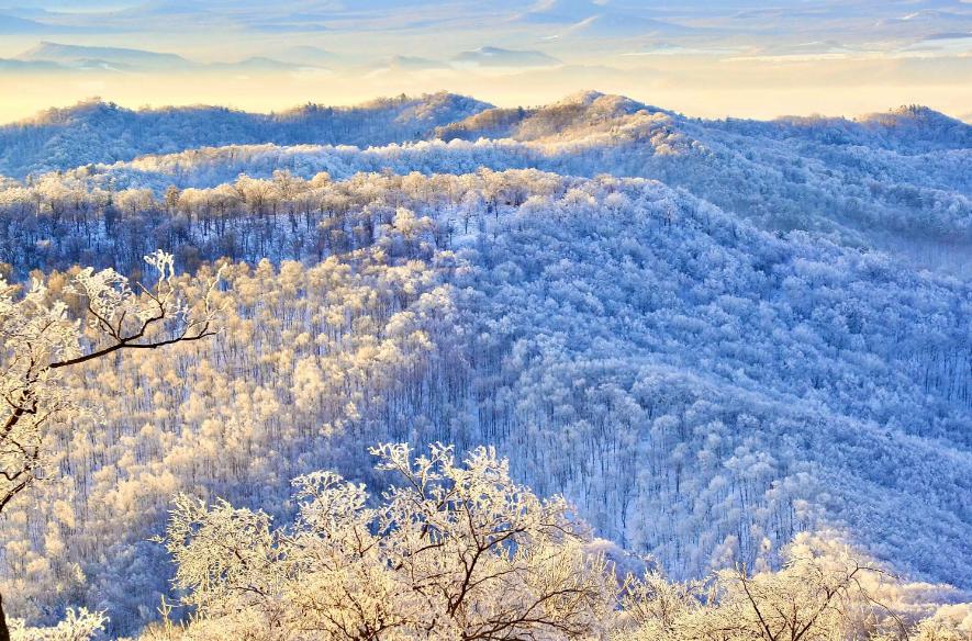 描写霜的诗句古诗名句,描写寒霜的诗句古诗大全