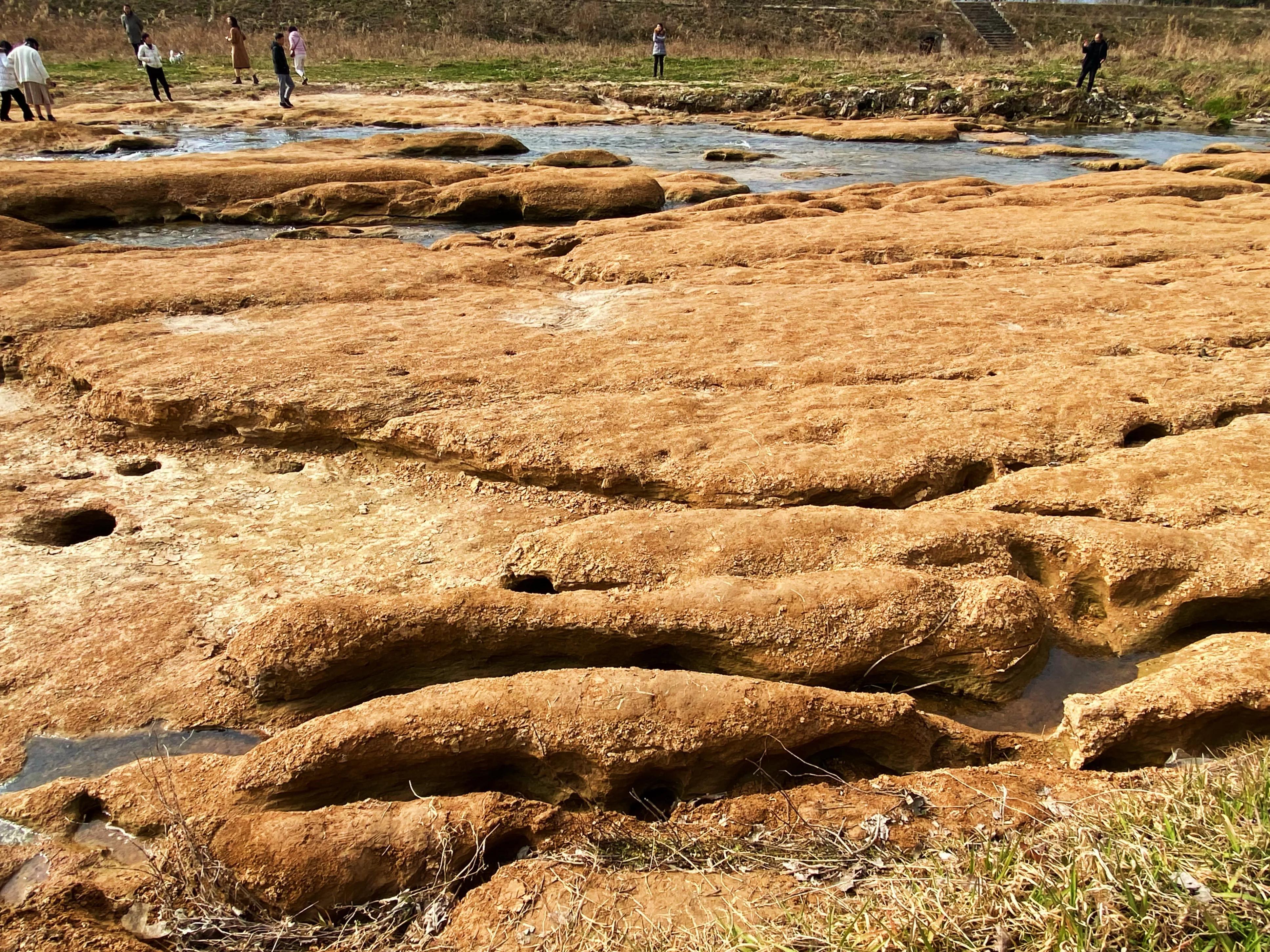 河边的景色真是太美了,文川河风景