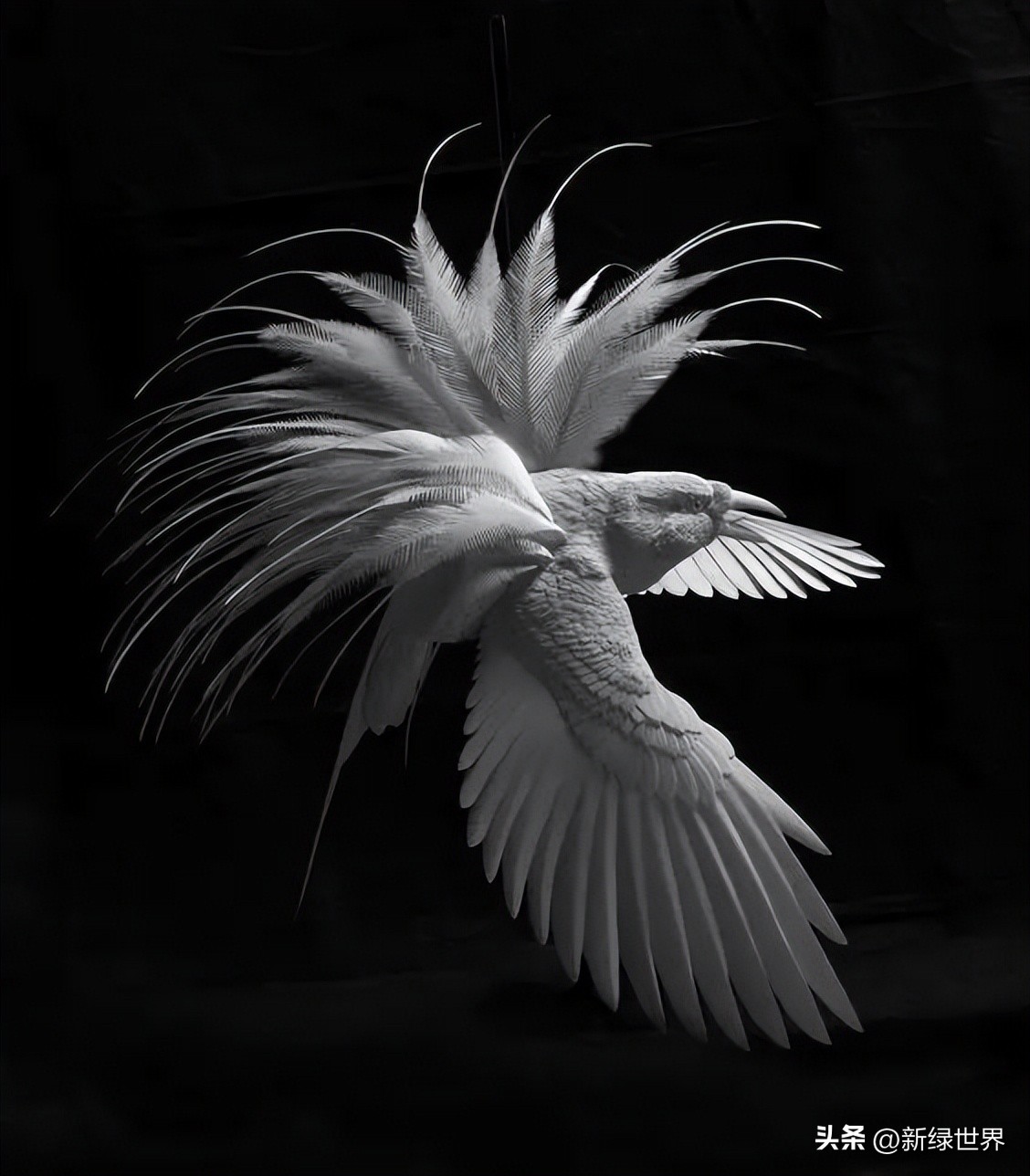 一组纸艺作品,令人惊艳的纸艺作品