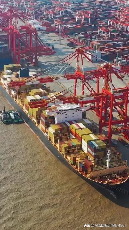 上海最强地级市,上海最强地区排名