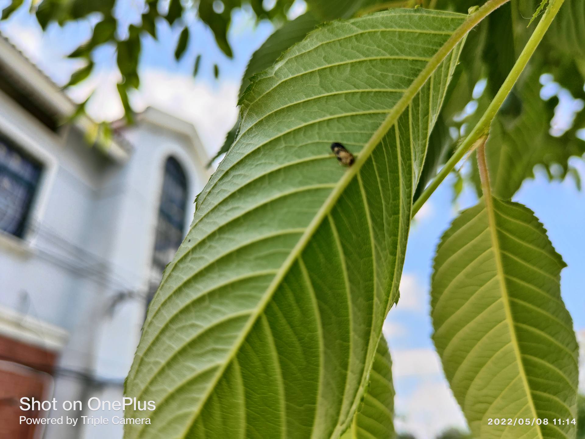 佳能相机100d代值得买吗,2022年佳能100d值得买吗