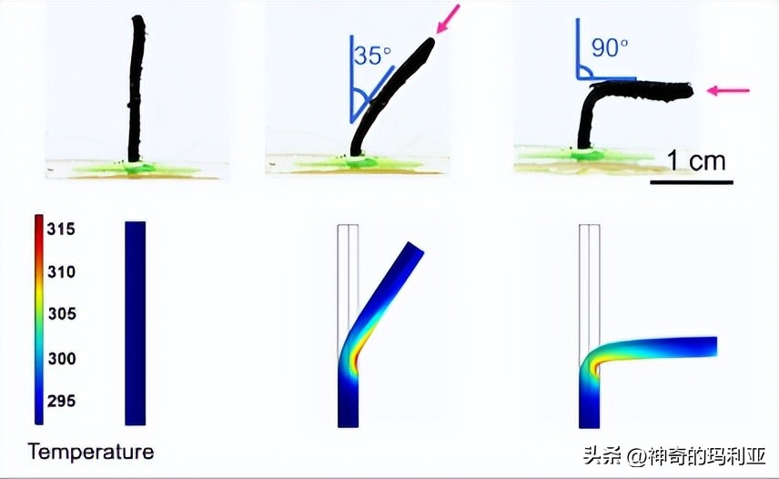 磁性响应水凝胶,光热效应水凝胶