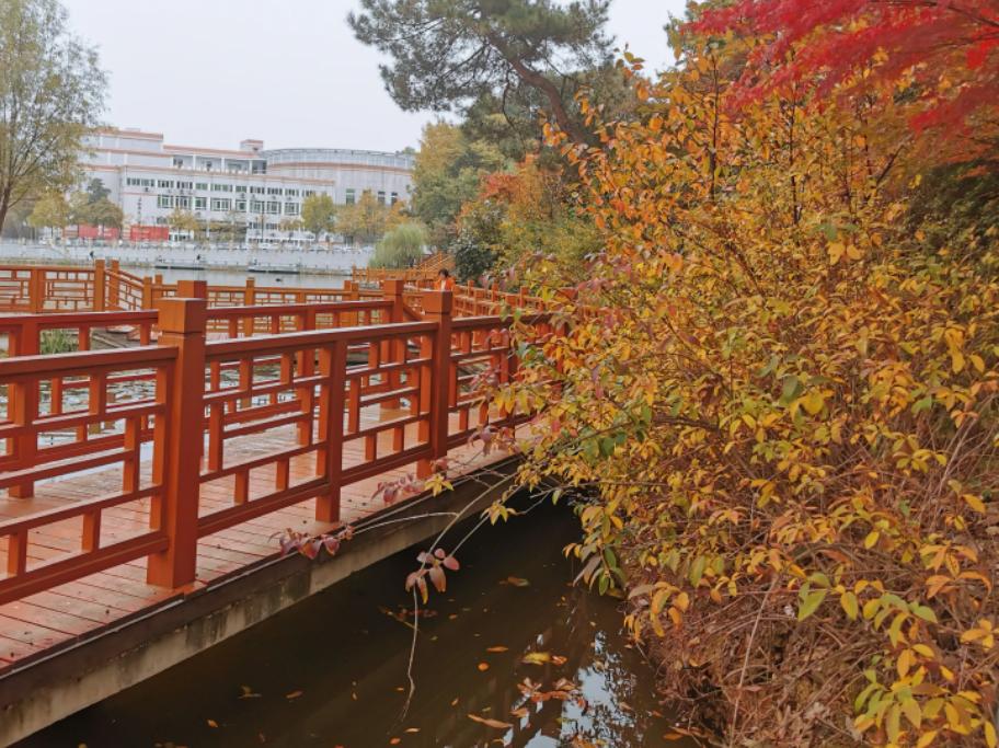 河南省师范类二本院校排名,河南二本师范类院校排名一览表