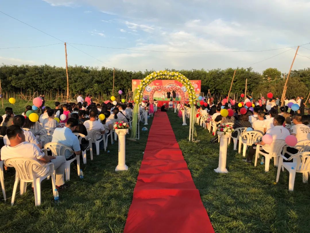 休闲农业和乡村旅游线路图,休闲农业旅游线路推荐