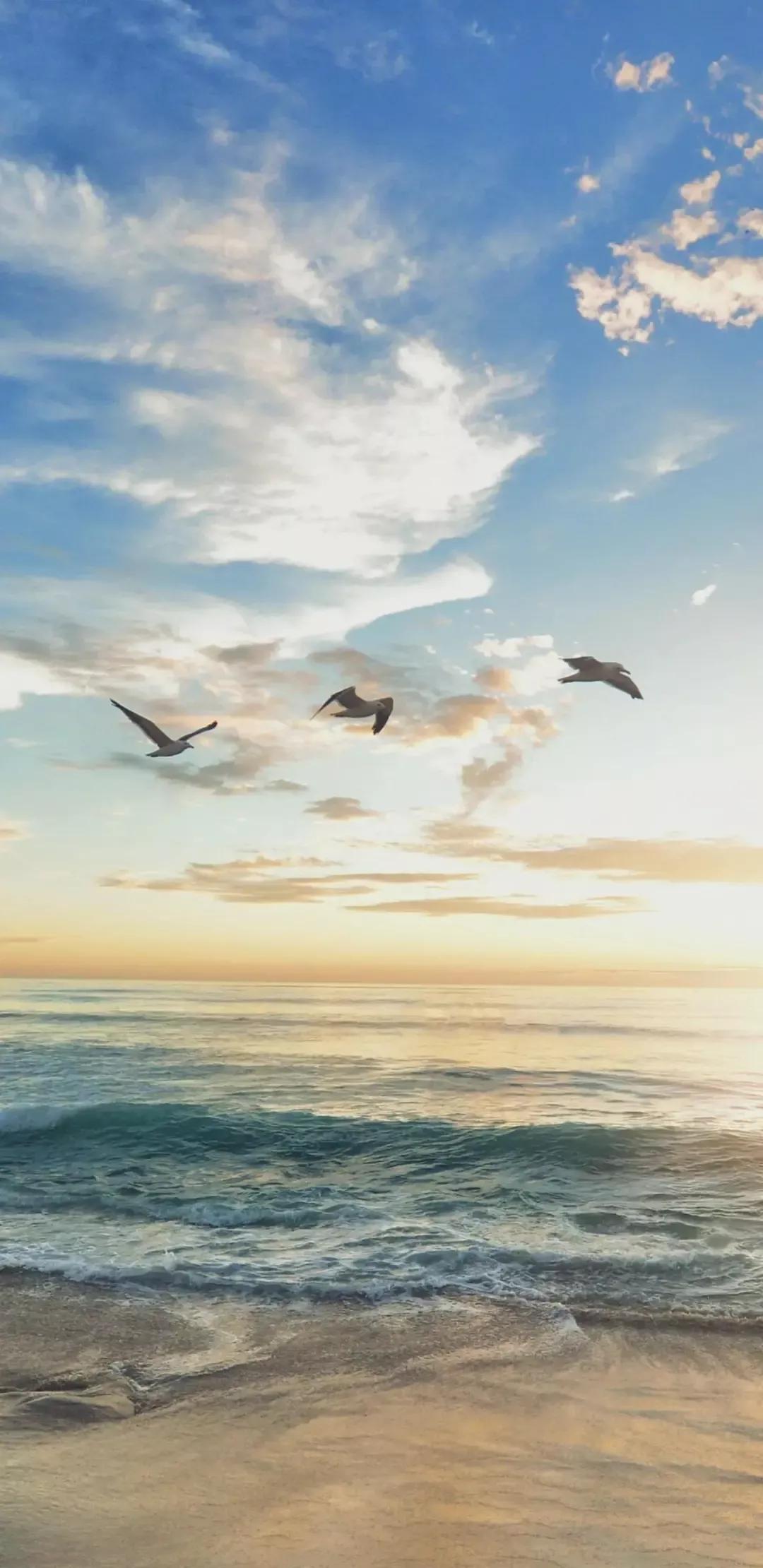 大海壁纸｜大海边，守候朝霞，聆听海浪的乐章