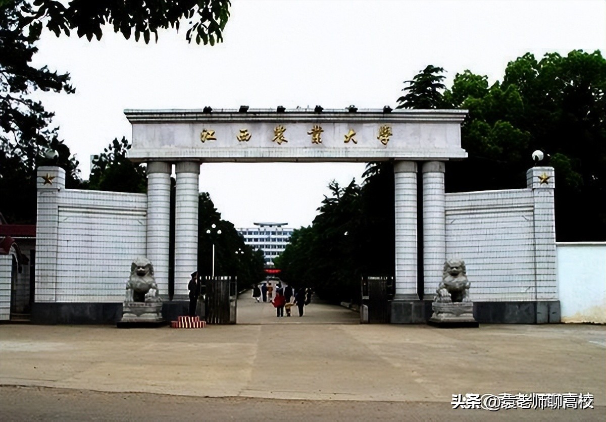 湖南农业大学和湖南农科院,湖南农业大学和湖南大学