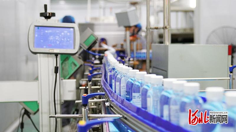 河北巨鹿县：打造全产业链发展格局小小金银花“种出”大产业