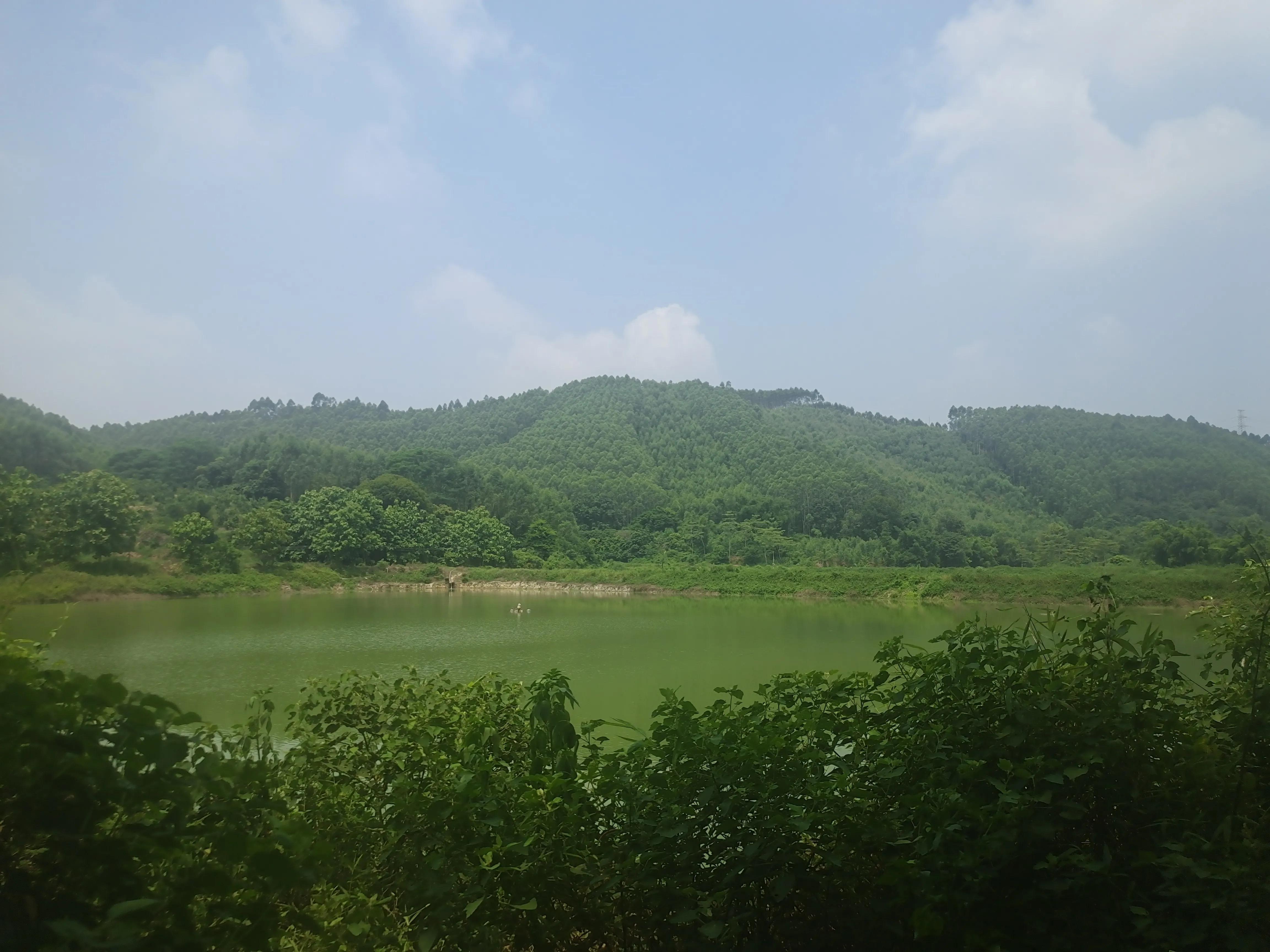 日本进口锦鲤多少钱一只,日本锦鲤品种及价格表