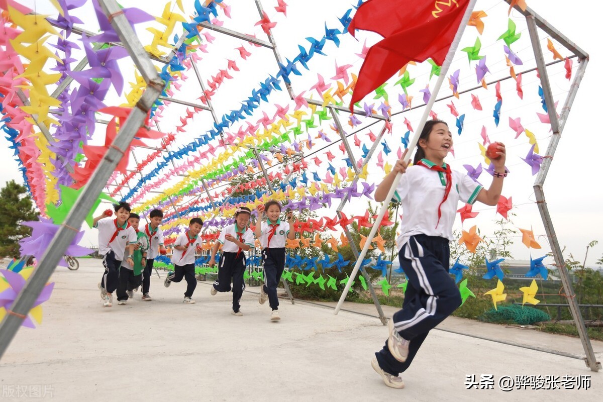 郑州金水前十名重点小学,郑州市金水区小学排名一览表最新