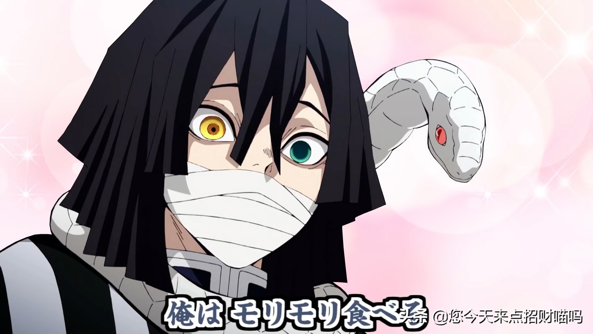 鬼灭之刃官方整活，学院物语2期爆甘露寺体重数据，减肥日常开启