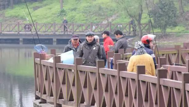 心烦没精神大脑乱记性差,大脑迟钝反应慢怎么改善