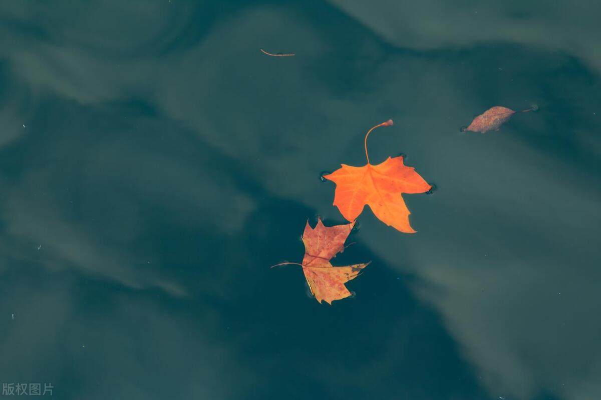 李玟因抑郁症自杀去世,李玟因抑郁症去世