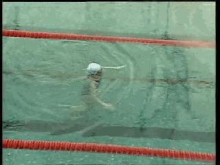 仰泳换自由泳的切换分解动作图解,混合泳仰泳后滚翻动作要领