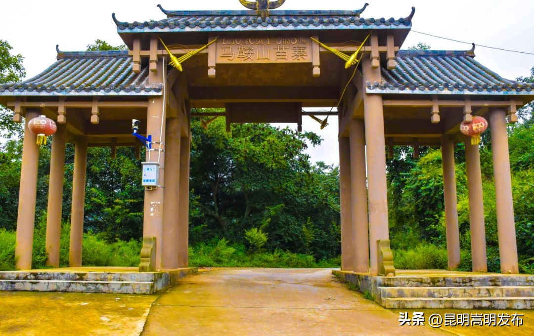 讲好荒田“农”故事铭记*党**的“浓”恩情