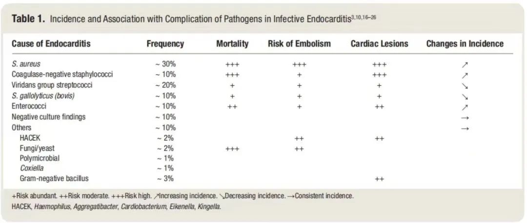 麻醉学相关介绍,麻醉学要点综合版