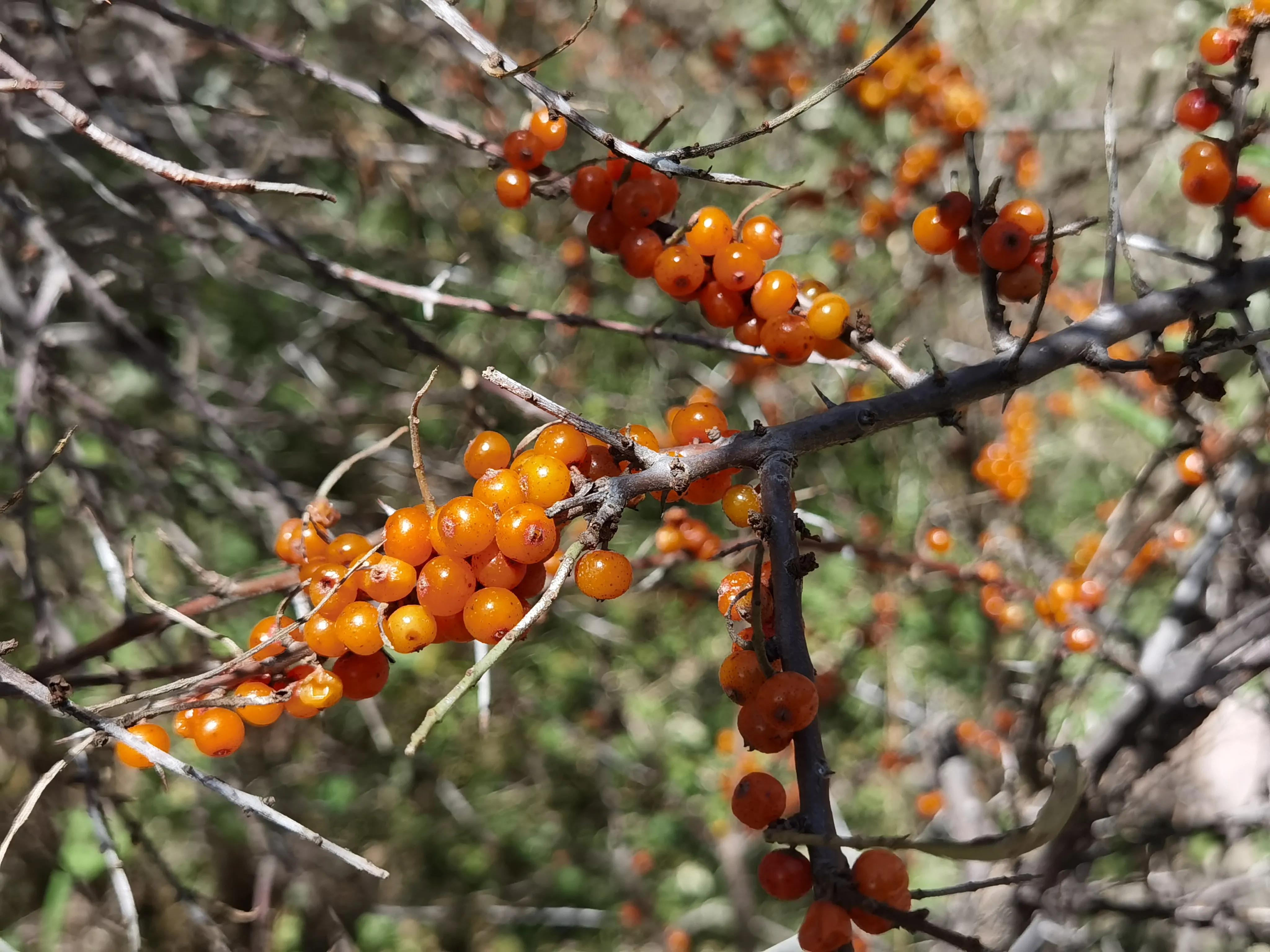 冬季五台山徒步大朝台完整攻略,五台山大朝台徒步一天可以走完吗