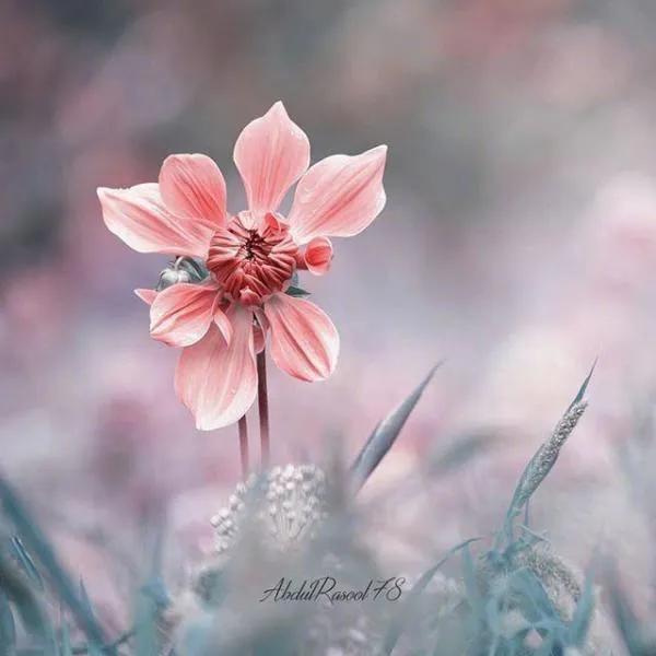 用尊重做牙签：给对方情绪的气球留个针眼