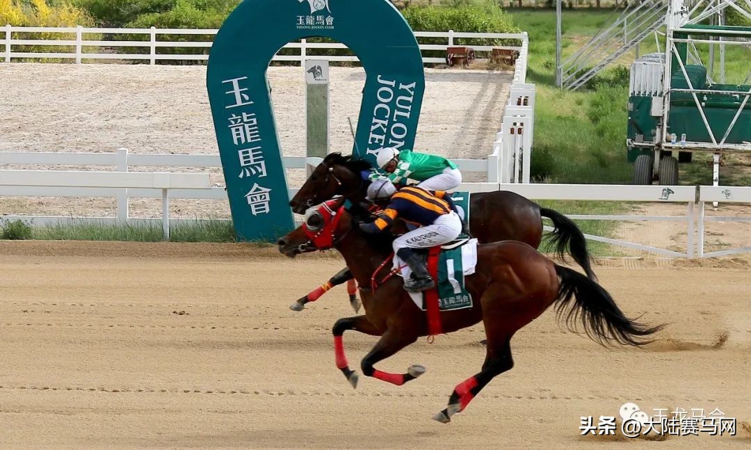 2023中国马主联盟杯,中国马主联盟报名时间