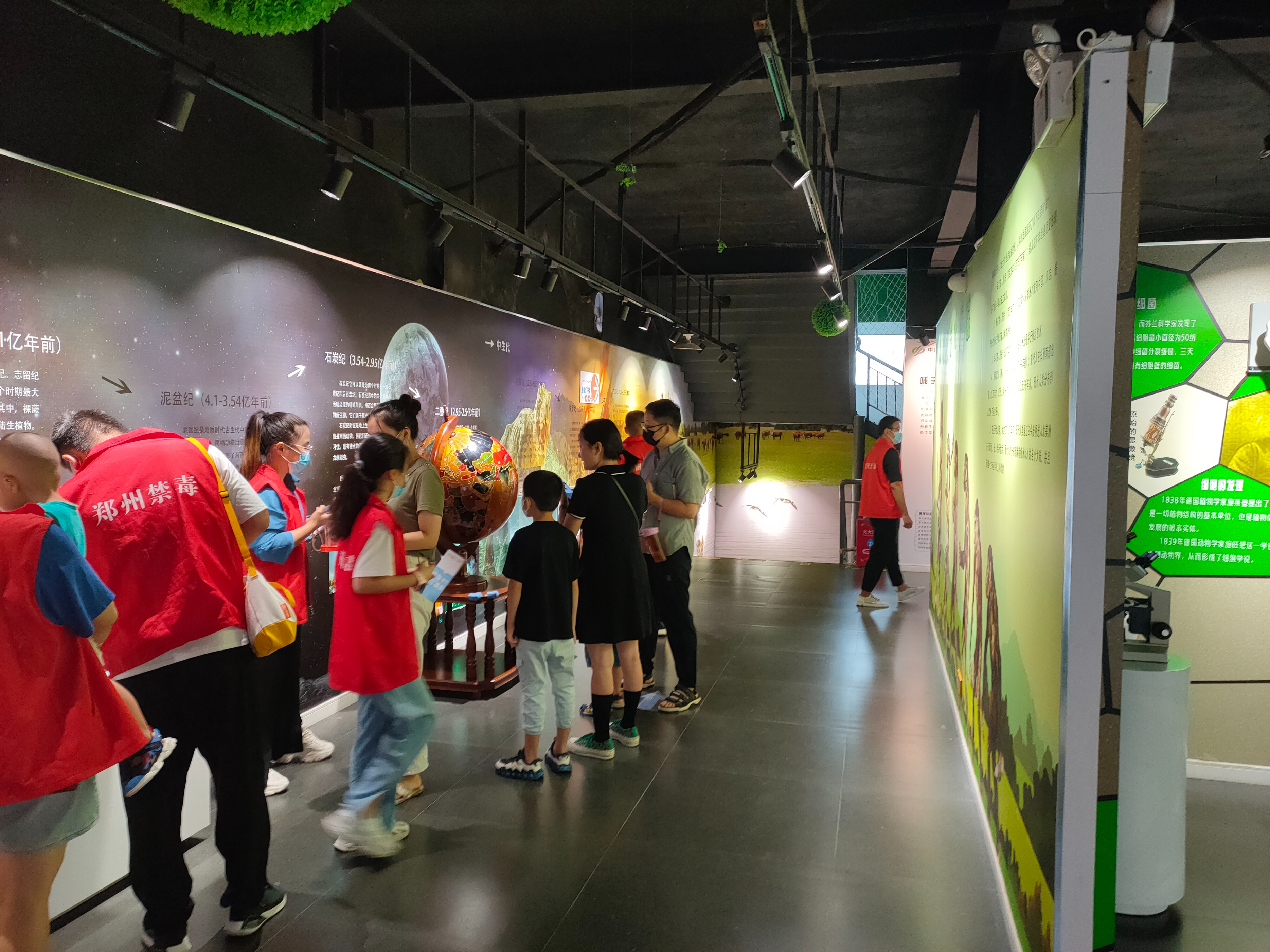 郑州博物馆讲解,郑州大鲵科普展馆