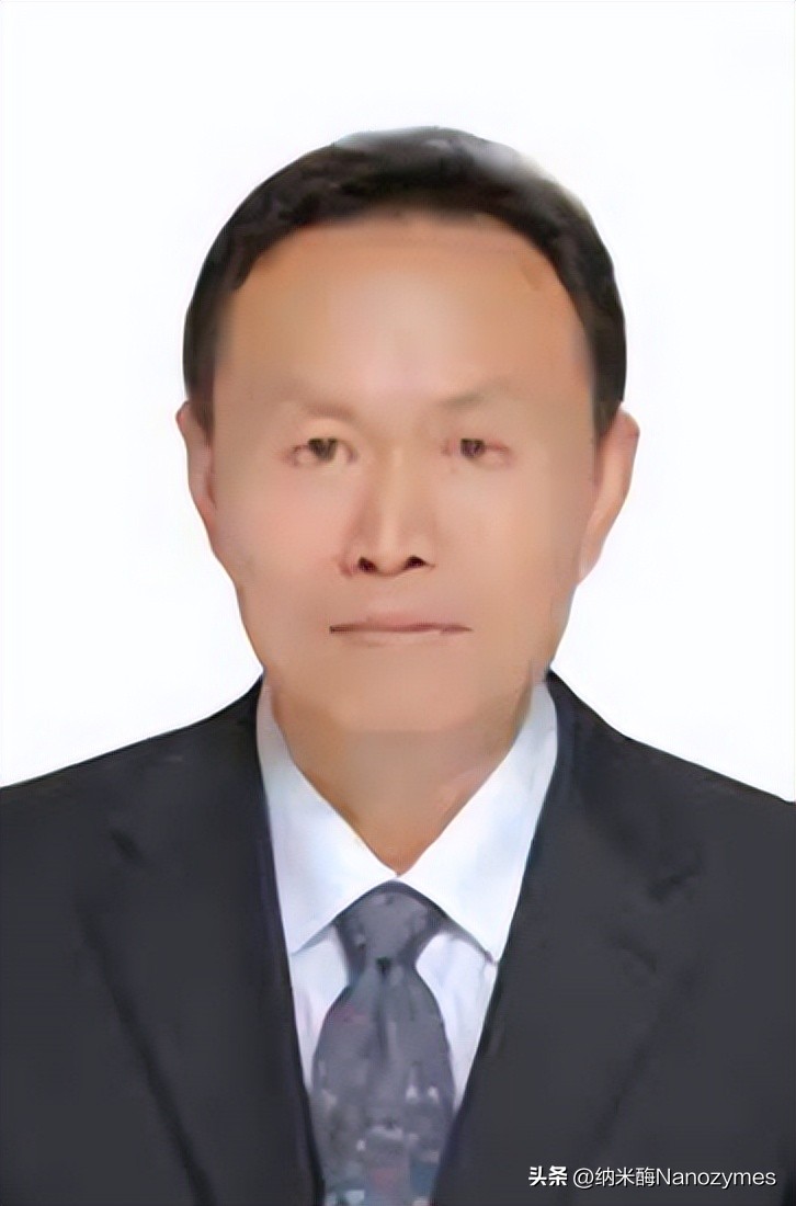 「转载」Angew.Chem.Int.Ed.|Cu单原子纳米酶用于光热疗法