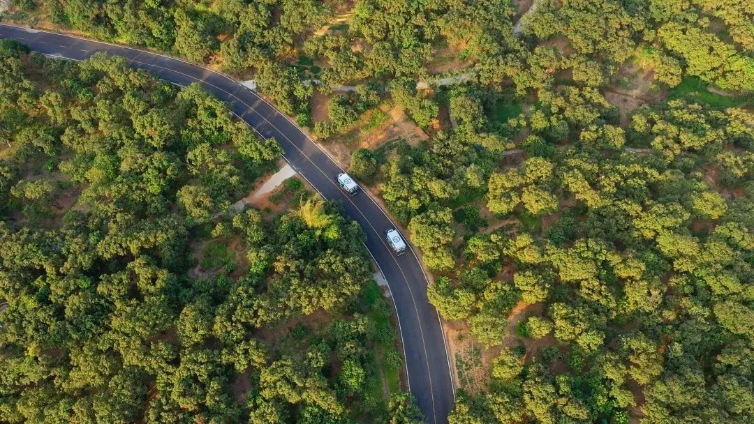 王卫靠什么撑起顺丰48亿利润,顺丰王卫深度解析