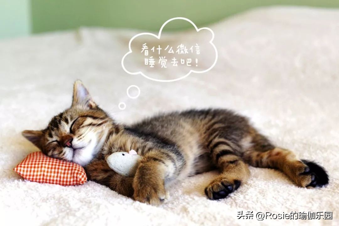 李一桐减肥方法运动,beauty小姐第3季李一桐瘦身