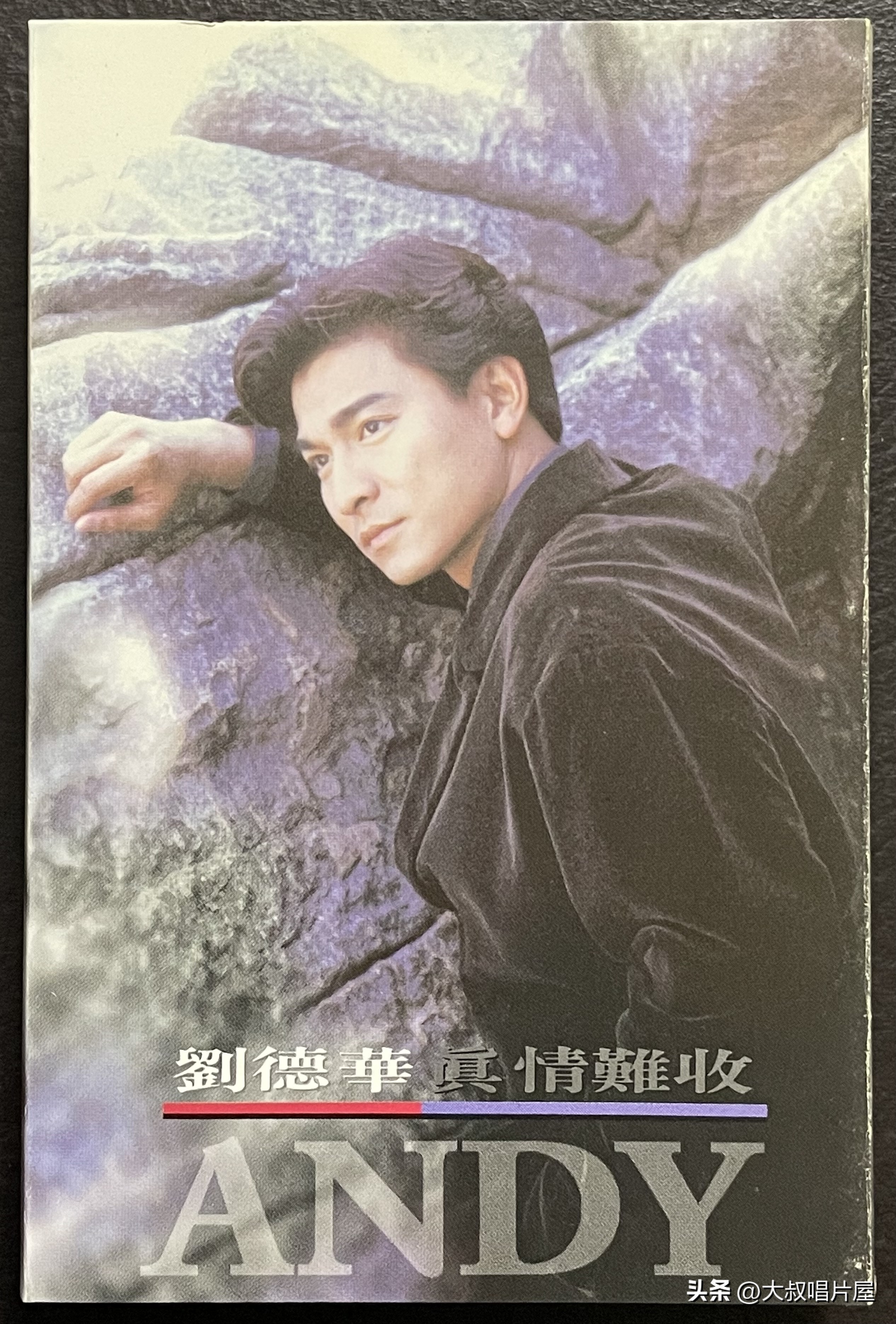 1993年中国神曲,1993年华语乐坛神曲大爆发