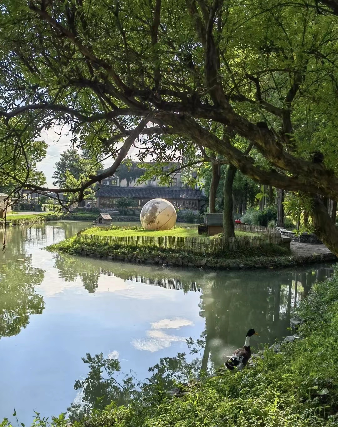 终于去了“中国本土版ClubMed”,乌村也太好玩了吧