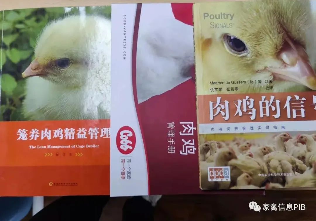 卖鸡犯法吗有什么后果,卖鸡赚钱是真的吗