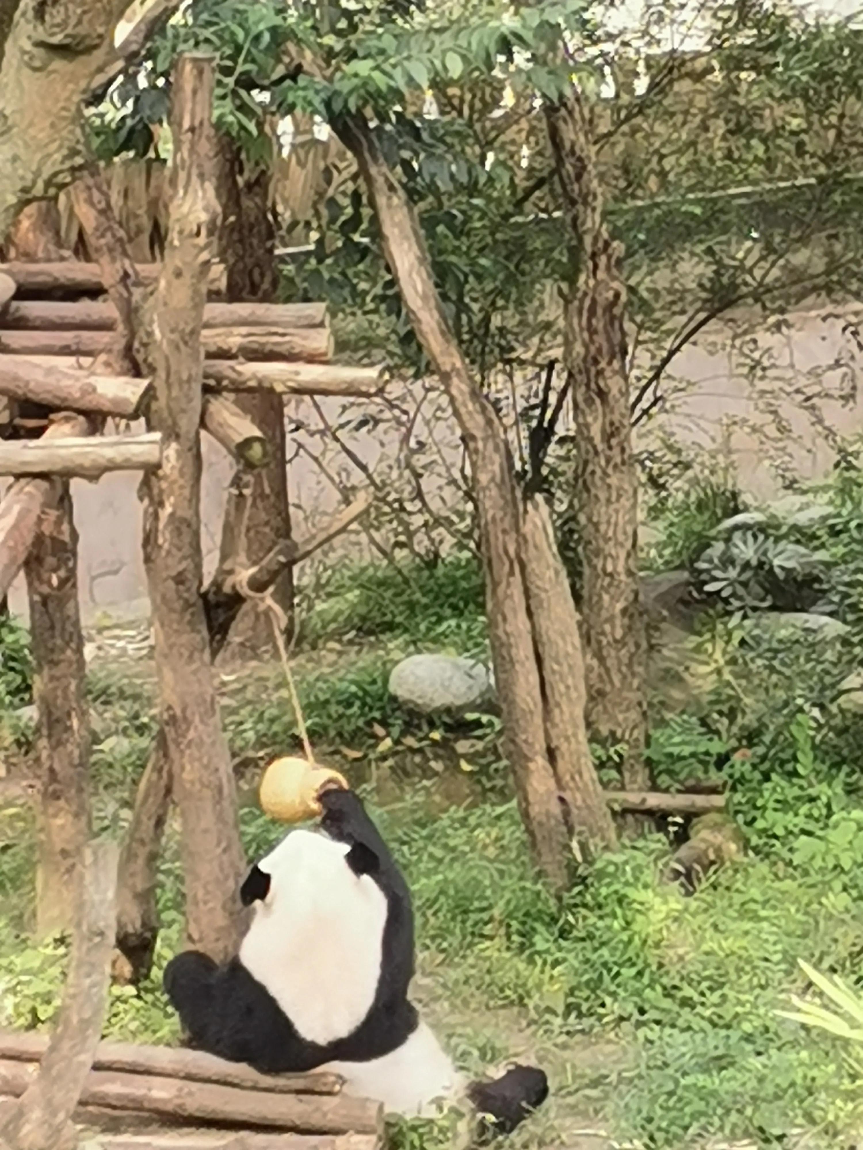 成都印象火锅,成都印象餐饮有限公司