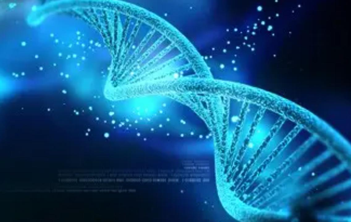 为什么男人高女人低,为什么男高女矮才配