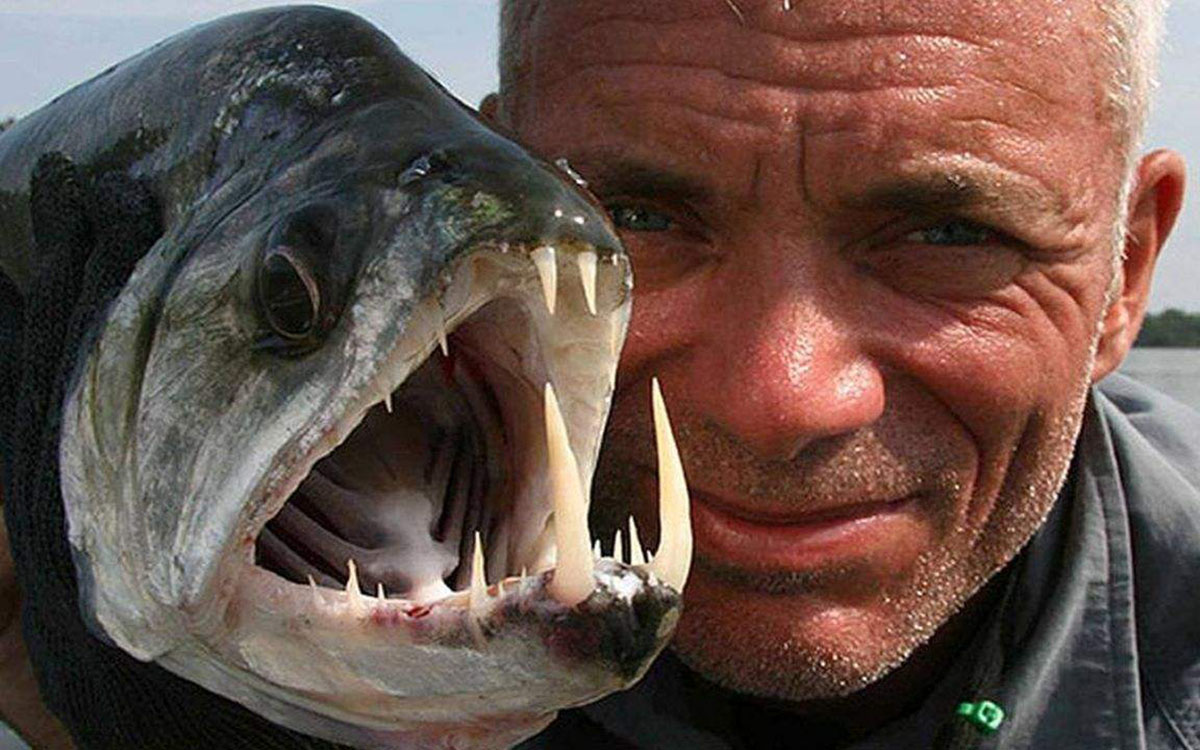 亚马逊河到底有多可怕没有桥梁,亚马逊河有多厉害为什么没有桥